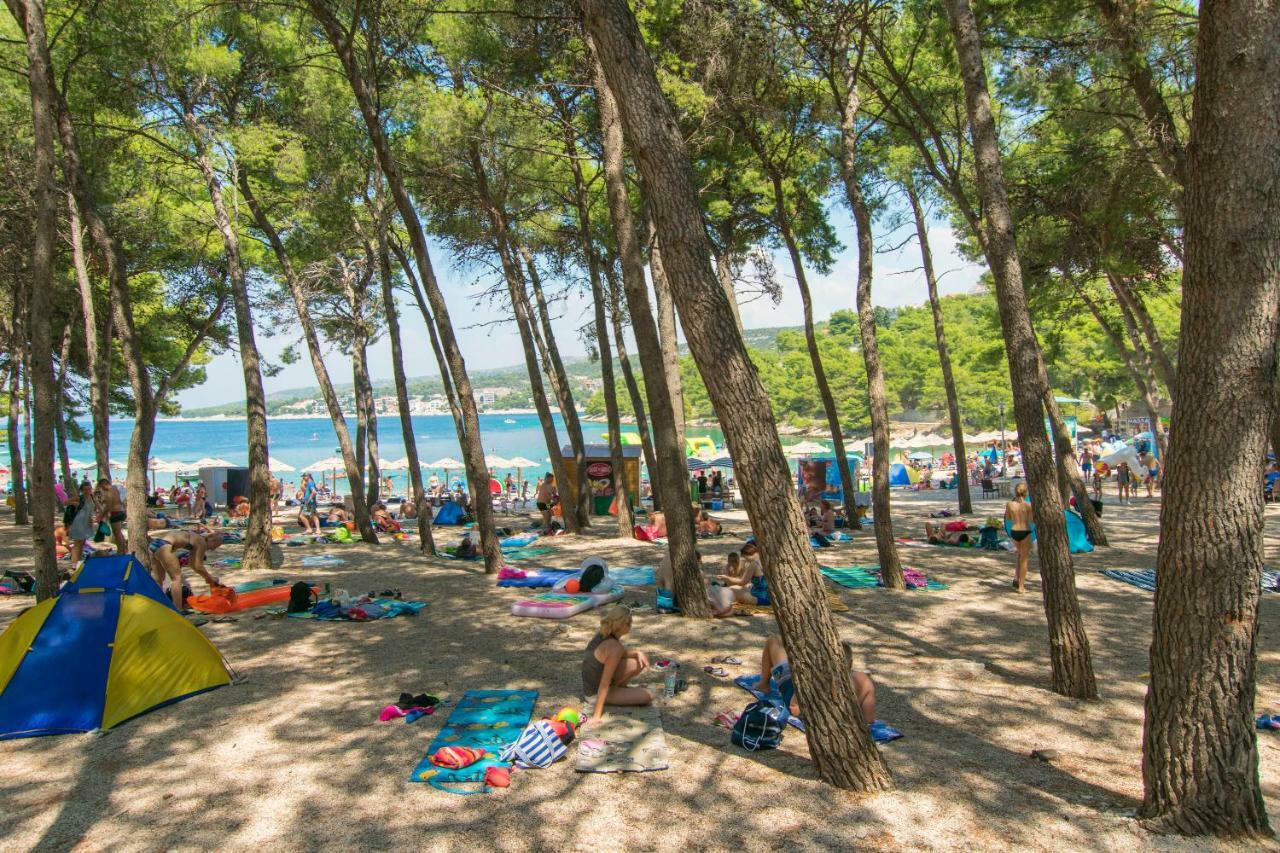 Apartment Palcic Primošten Екстериор снимка